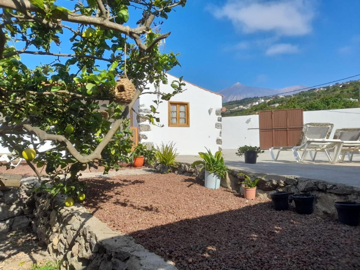 La Casa Del Bisa Βίλα Genovés Εξωτερικό φωτογραφία